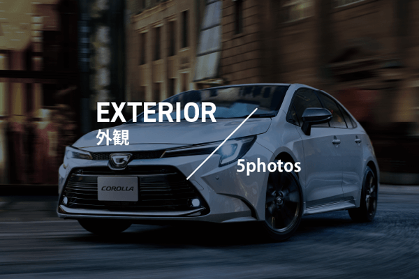 外装