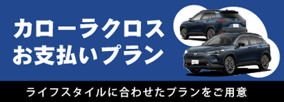 お支払いプラン