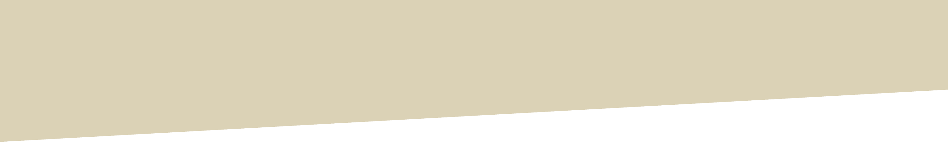 RAV4のギャラリー 背景