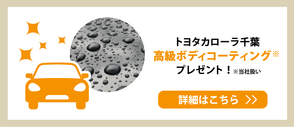 高級ボディコーティング