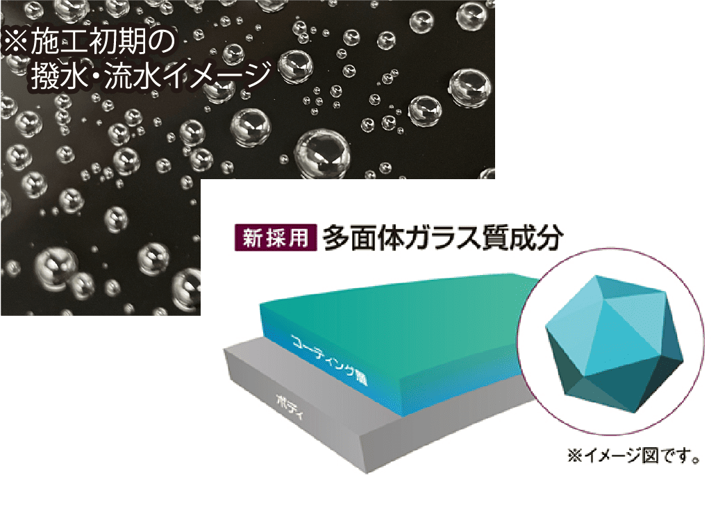 CPCボディコーティングガードコスメSP