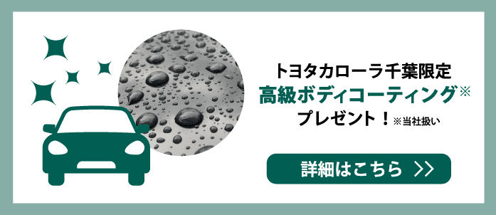 高級ボディコーティング